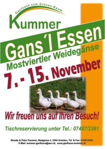 Postwurf November 2015-02